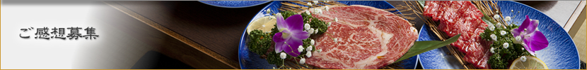 ご感想募集