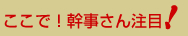 ここで！幹事さん注目！